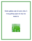 Kinh nghiệm một số nước châu Á trong phòng ngừa tác hại của thuốc lá