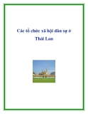 Các tổ chức xã hội dân sự ở Thái Lan