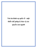 Toà án hình sự quốc tế - một thiết chế pháp lý bảo vệ các quyền con người