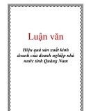 Luận văn: Hiệu quả sản xuất kinh doanh của doanh nghiệp nhà nước tỉnh Quảng Nam