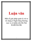 Luận văn: Một số giải pháp quản lý rủi ro tín dụng ở Ngân hàng thương mại và cổ phần nhà Hà Nội HABUBANK