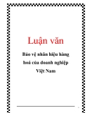 Luận văn: Bảo vệ nhãn hiệu hàng hoá của doanh nghiệp Việt Nam