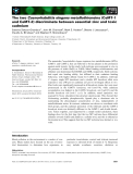 Báo cáo khoa học: The two Caenorhabditis elegans metallothioneins (CeMT-1 and CeMT-2) discriminate between essential zinc and toxic cadmium