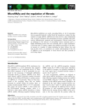 Báo cáo khoa học: MicroRNAs and the regulation of ﬁbrosis