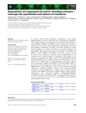 Báo cáo khoa học: Degradation of tropoelastin by matrix metalloproteinases – cleavage site speciﬁcities and release of matrikines