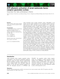 Báo cáo khoa học: ATP allosteric activation of atrial natriuretic factor receptor guanylate cyclase