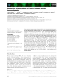 Báo cáo khoa học: Reductive nitrosylation of ferric human serum heme-albumin