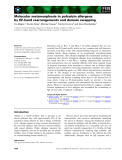 Báo cáo khoa học: Molecular metamorphosis in polcalcin allergens by EF-hand rearrangements and domain swapping