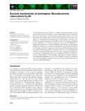 Báo cáo khoa học:  Survival mechanisms of pathogenic Mycobacterium tuberculosis H37Rv
