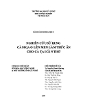 Chuyên đề:Nghiên cứu sử dụng cám cám lên men làm thức ăn cho cá tại Cần Thơ