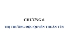 CHƯƠNG 6 THỊ TRƯỜNG ĐỘC QUYỀN THUẦN TÚY