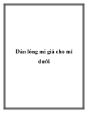 Dán lông mi giả cho mí dưới