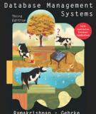 Database Management Systems Third edition