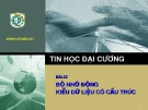 Tin học đại cương - bài 10: bộ nhớ động kiểu dữ liệu co cấu trúc