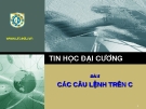 Tin học đại cương - bài 8: các câu lệnh trên C