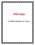 Tiểu luận:Các điểm nóng khu vực Nam Á