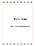 Tiểu luận: Nghiên cứu chủ nghĩa khủng bố