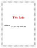 Tiểu luận:CÁC ĐIỂM NÓNG Ở CHÂU PH