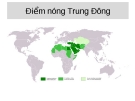 Điểm nóng Trung Đông