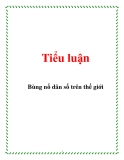 Tiểu luận: Bùng nổ dân số trên thế giới