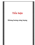 Tiểu luận: Khủng hoảng năng lượng