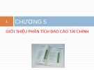 Bài giảng Báo cáo tài chính - Chương 5 Giới thiệu phân tích báo cáo tài chính