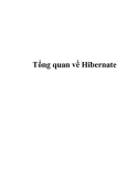 Tổng quan về Hibernate