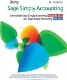 Basic Accounting Supplement for Using Simply Accounting Version 8.0 for Windows