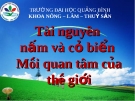 Tài nguyên nấm và cỏ biển Môi quan tâm của thế giới