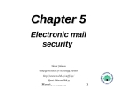 Electronic mail security 