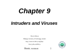 Intruders and Viruses