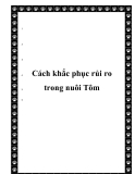  Cách khắc phục rủi ro trong nuôi Tôm