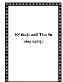  Kỹ thuật nuôi Tôm Sú công nghiệp