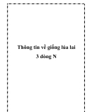 Thông tin về giống lúa lai 3 dòng N