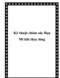 Kỹ thuật chăm sóc Họa Mi khi thay lông