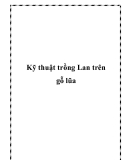 Kỹ thuật trồng Lan trên gỗ lũa