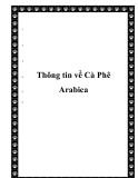  Thông tin về Cà Phê Arabica