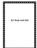 Kỹ thuật nuôi Dúi