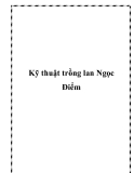 Kỹ thuật trồng lan Ngọc Điểm