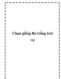 Chọn giống Bơ trồng trái vụ