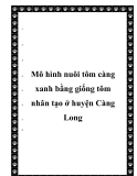  Mô hình nuôi tôm càng xanh bằng giống tôm nhân tạo ở huyện Càng Long