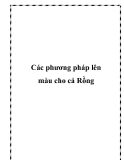 Các phương pháp lên màu cho cá Rồng