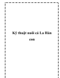 Kỹ thuật nuôi cá La Hán con