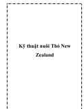 Kỹ thuật nuôi Thỏ New Zealand