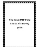 Ứng dụng BMP trong nuôi cá Tra thương phẩm