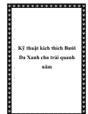  Kỹ thuật kích thích Bưởi Da Xanh cho trái quanh năm