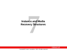 Instance and Media Recovery Structures