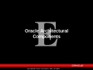 Oracle Architectural Components