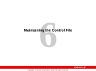 Maintaining the Control File