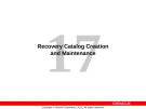 Recovery Catalog Creation and Maintenance
